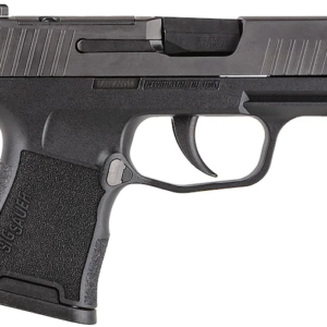 Buy Sig Sauer P365-380 Semi-Automatic Pistol